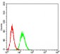 Mouse Monoclonal Antibody to C3C